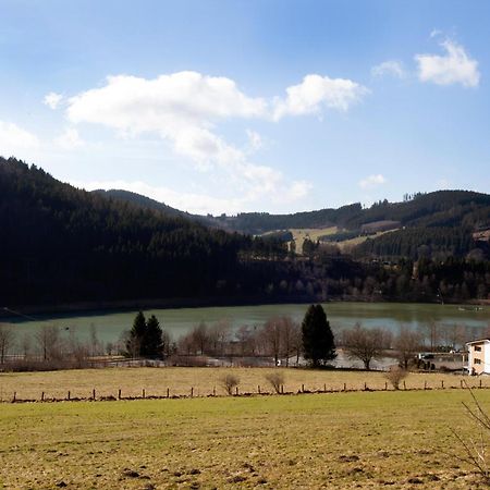 Fewo Hoher Eimberg Niedersfeld Apartment Winterberg Ngoại thất bức ảnh